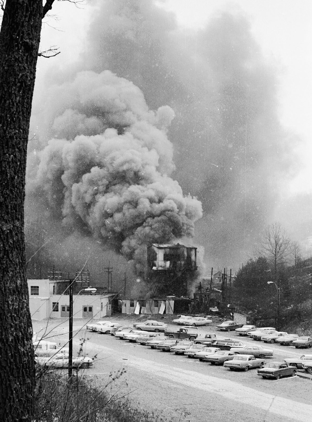 Llewellyn smoke